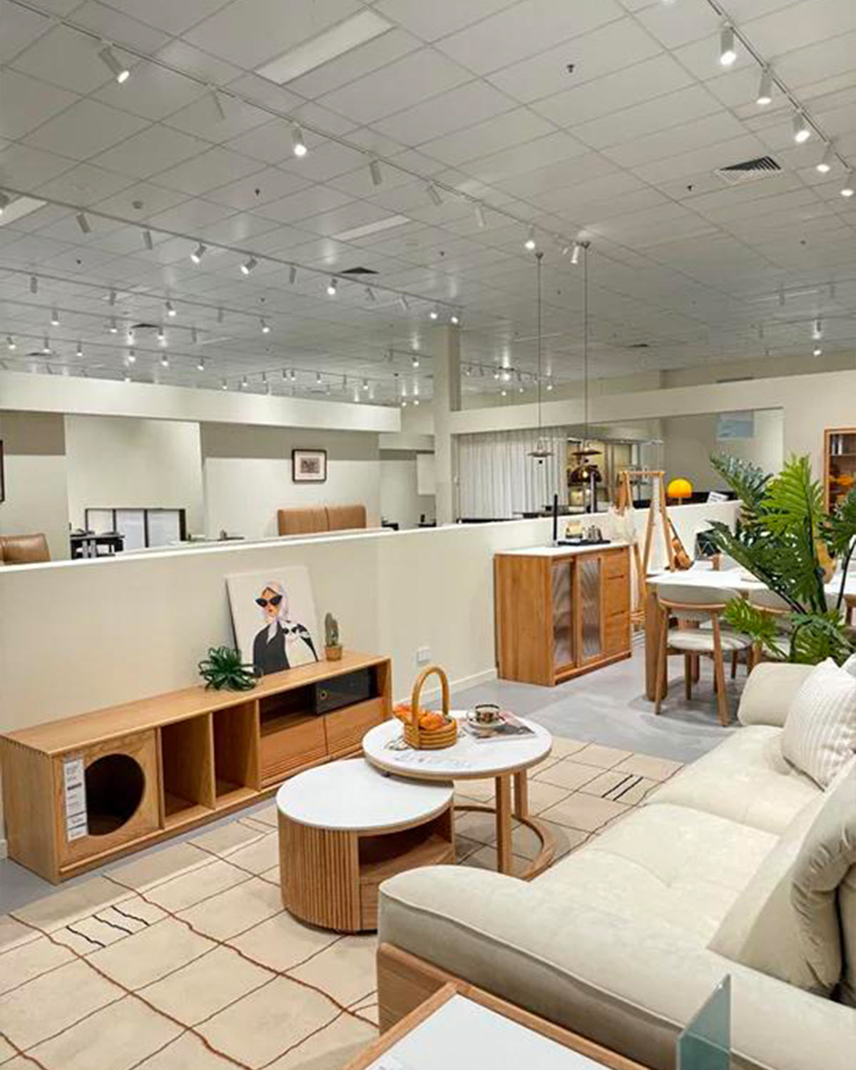LINSY Australia Showroom