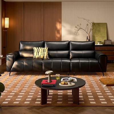 upgraded living room couch